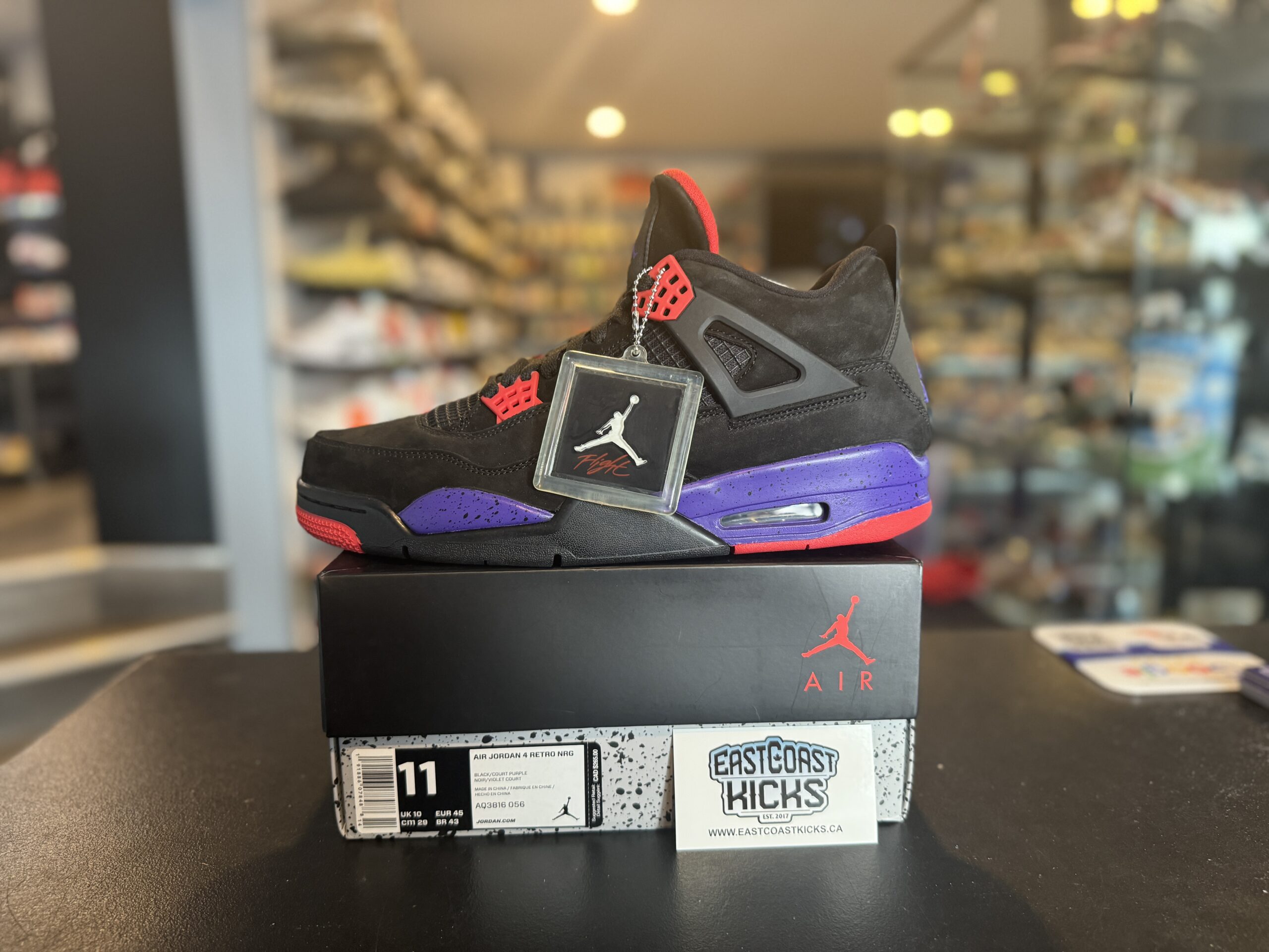 Jordan retro raptors best sale