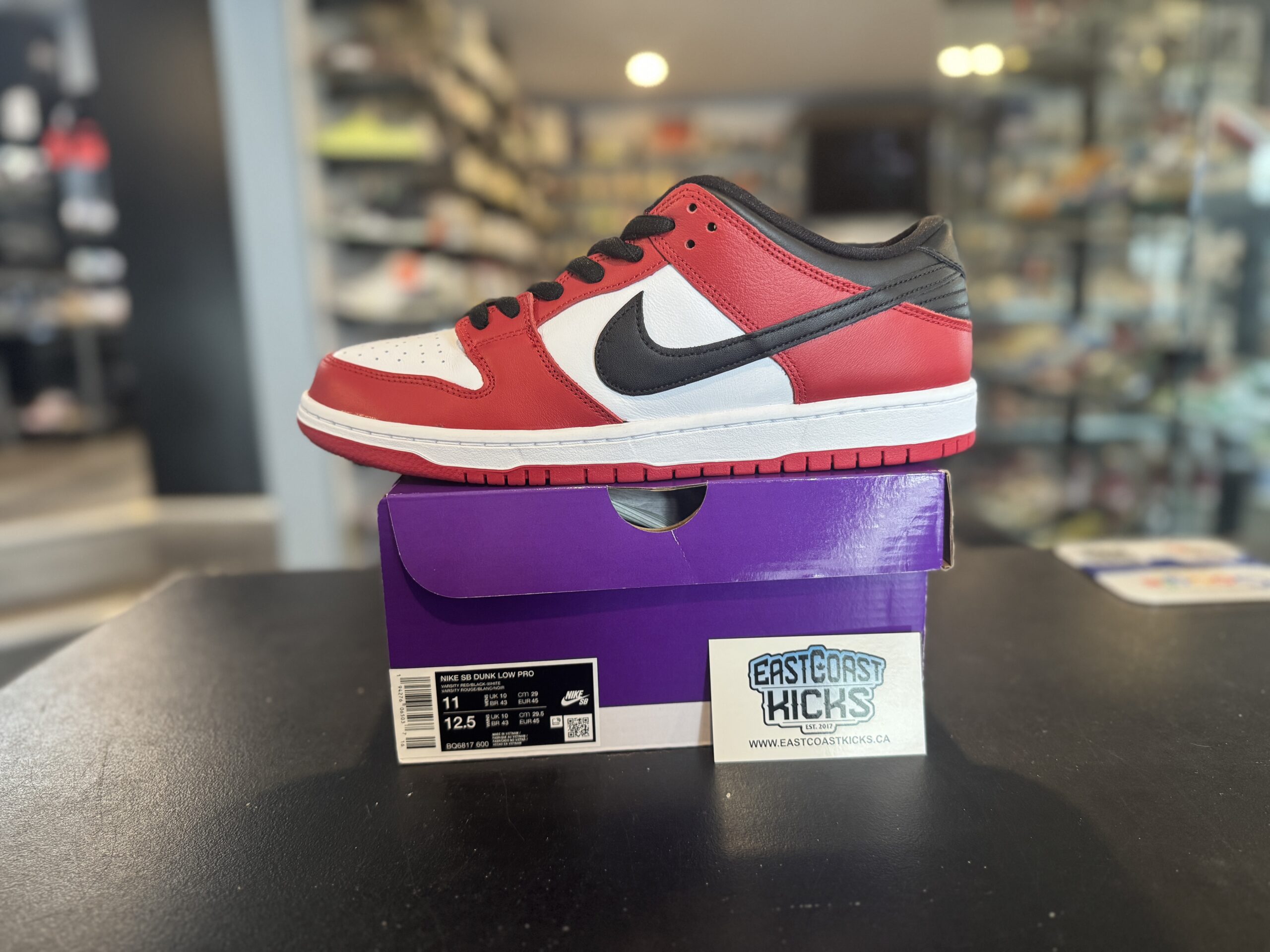 Nike SB Dunk Low Pro J-Pack Chicago Size 11