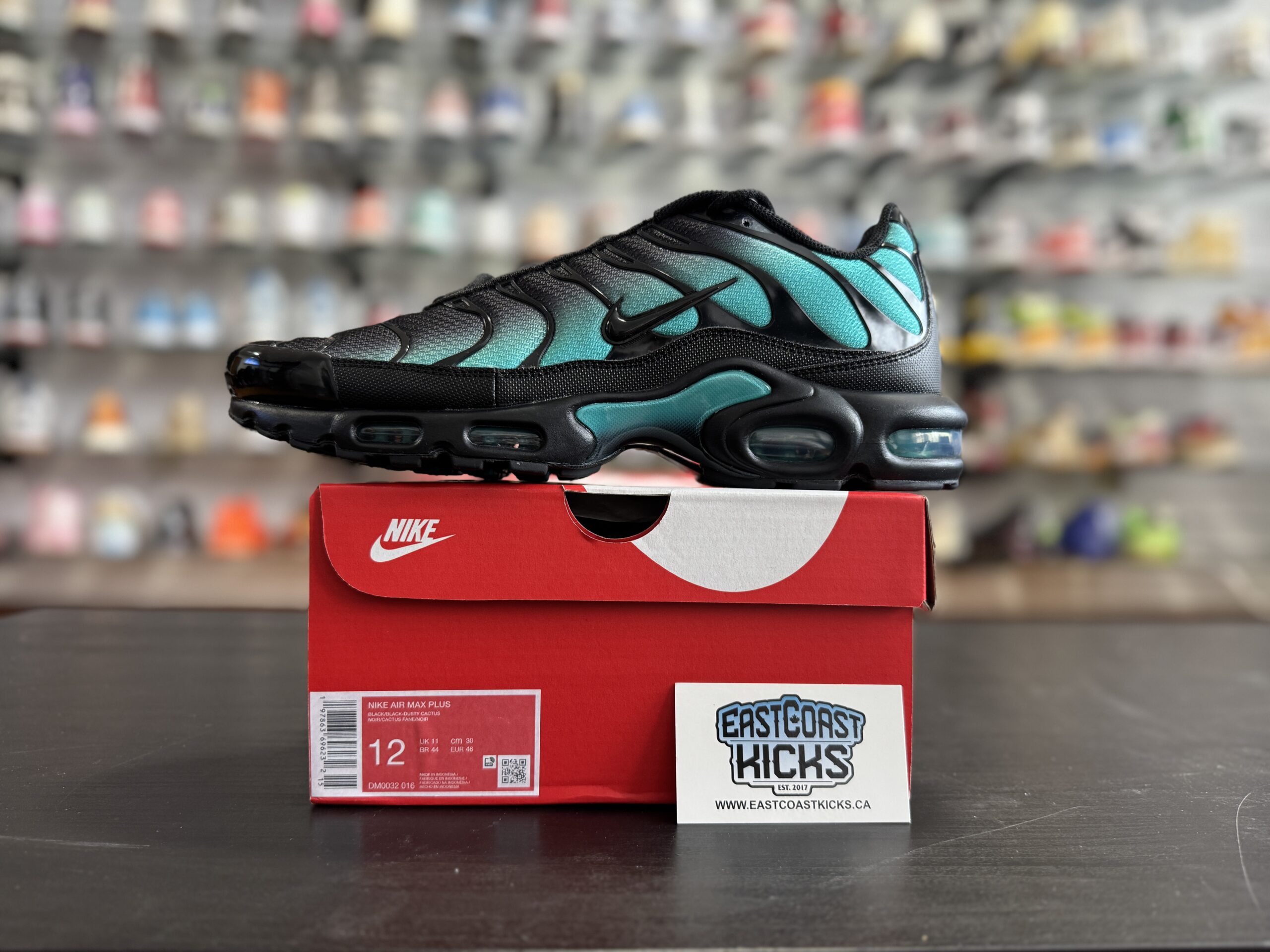 Nike Air Max Plus Black Dusty Cactus Size 12